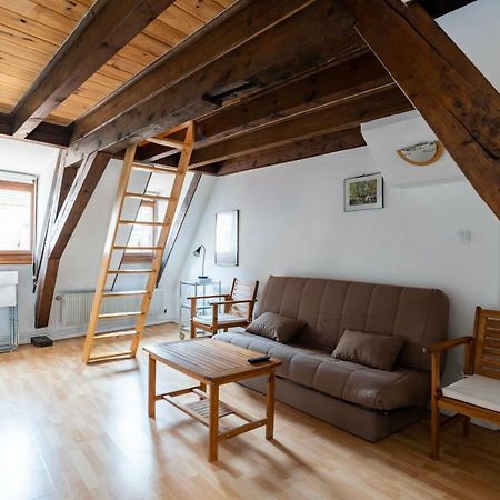 Citycosy Strasbourg - Budget St Thomas Serruriers Estrasburgo Exterior foto
