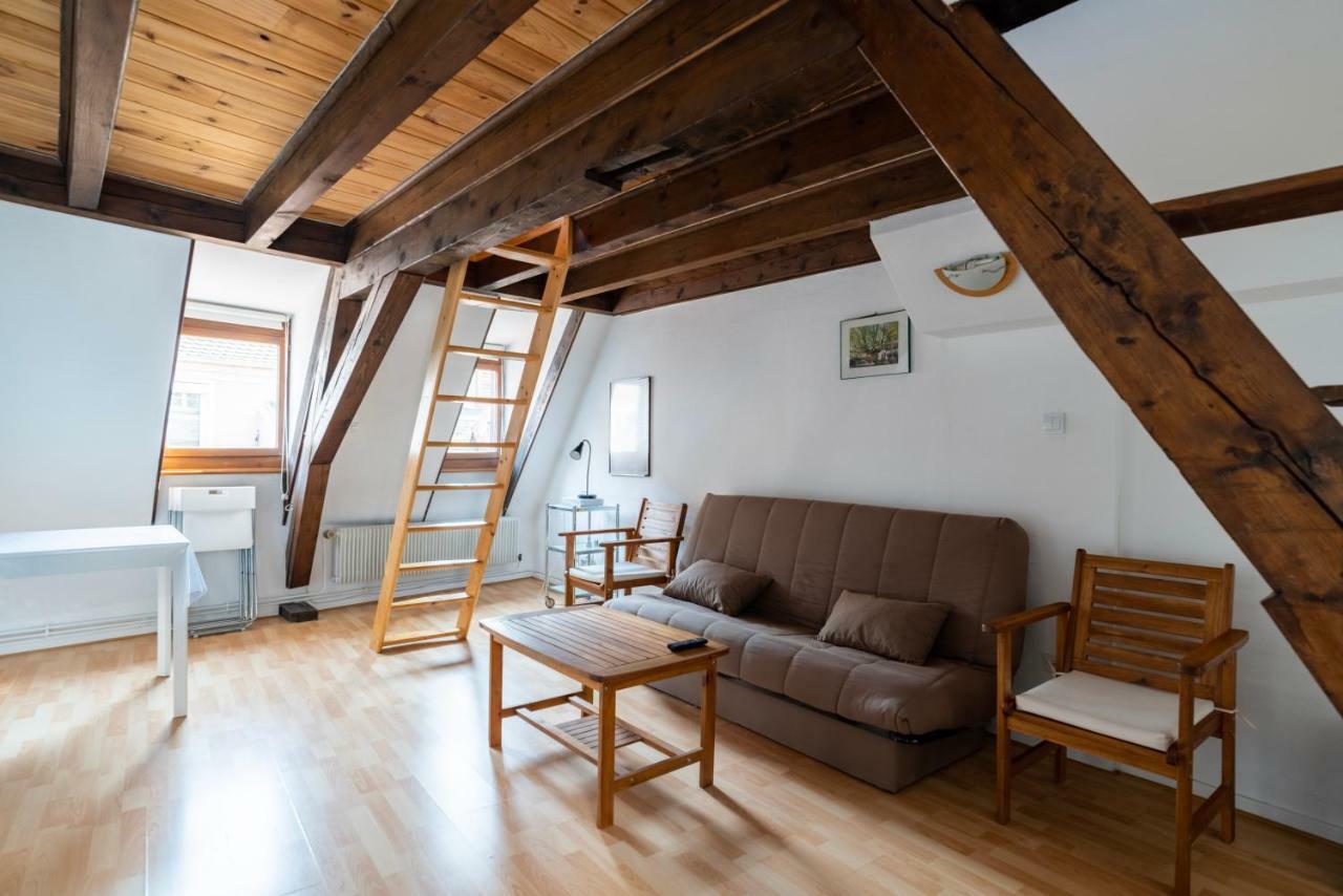 Citycosy Strasbourg - Budget St Thomas Serruriers Estrasburgo Exterior foto